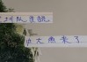 中超第29轮 申花打深圳更加难了！因为他们引进了一个英超射手